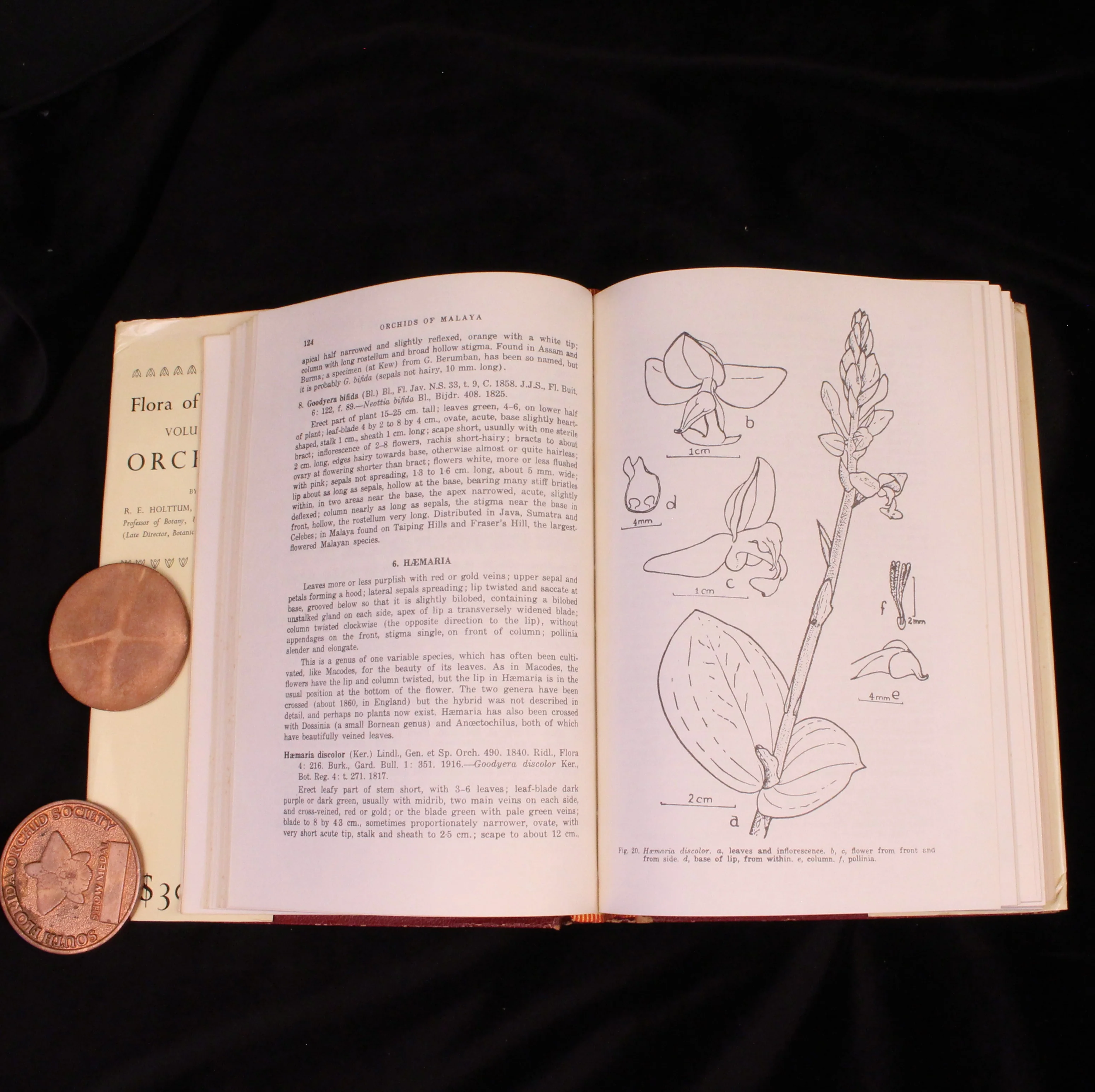 Flora of Malaya: Volumes I & II - Image 3