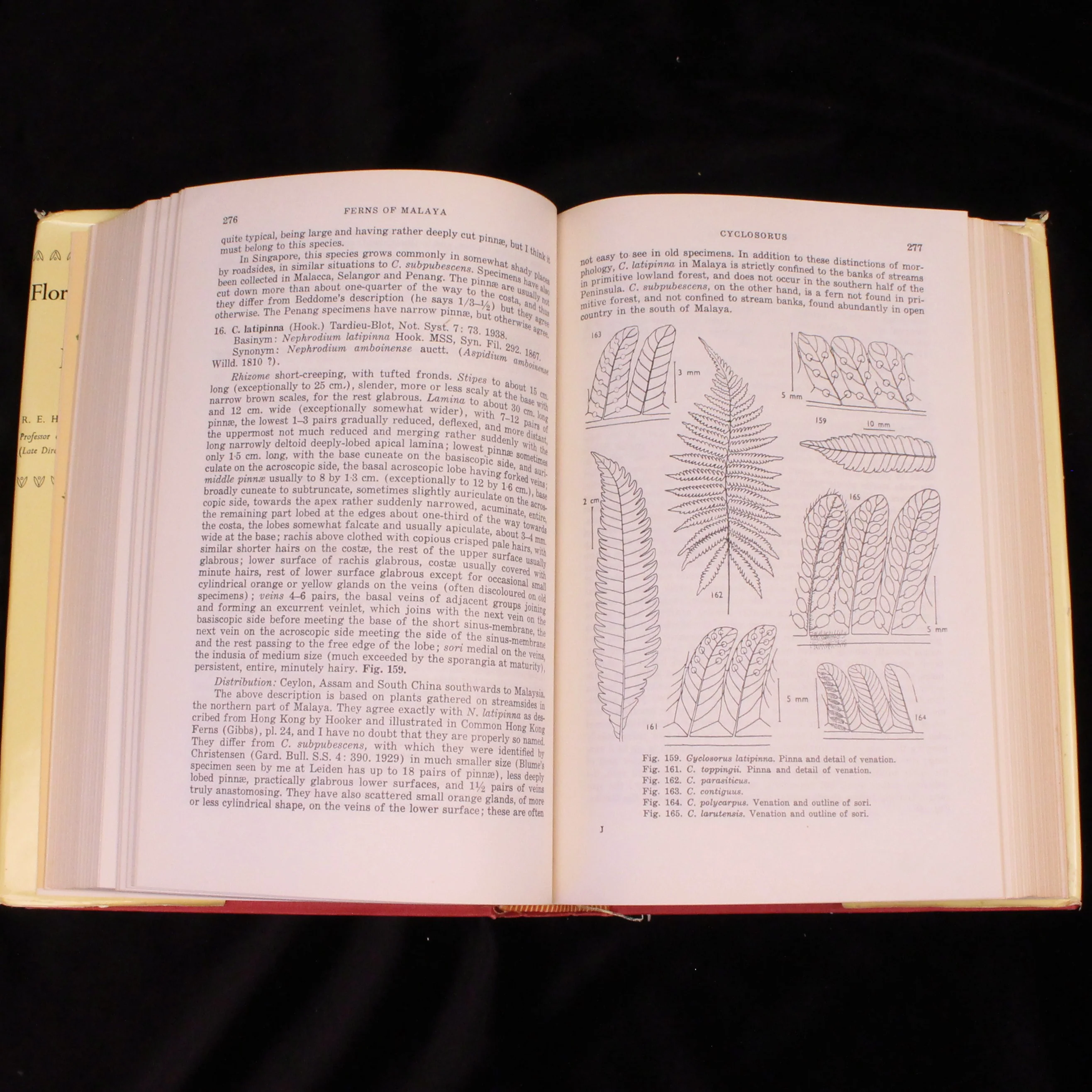 Flora of Malaya: Volumes I & II - Image 6