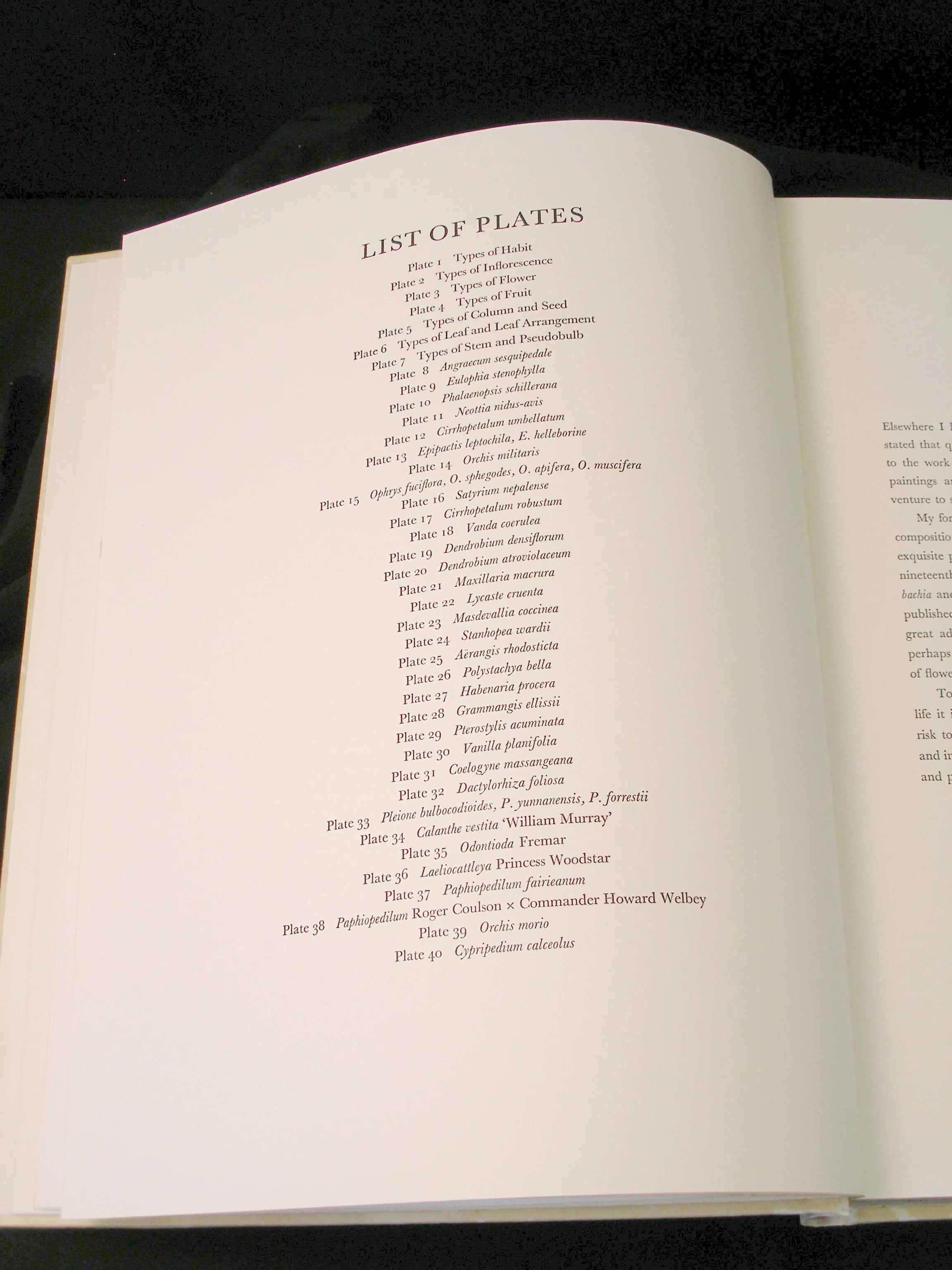 Orchidaceae- First Edition, Signed & Numbered Rare Book - Image 4